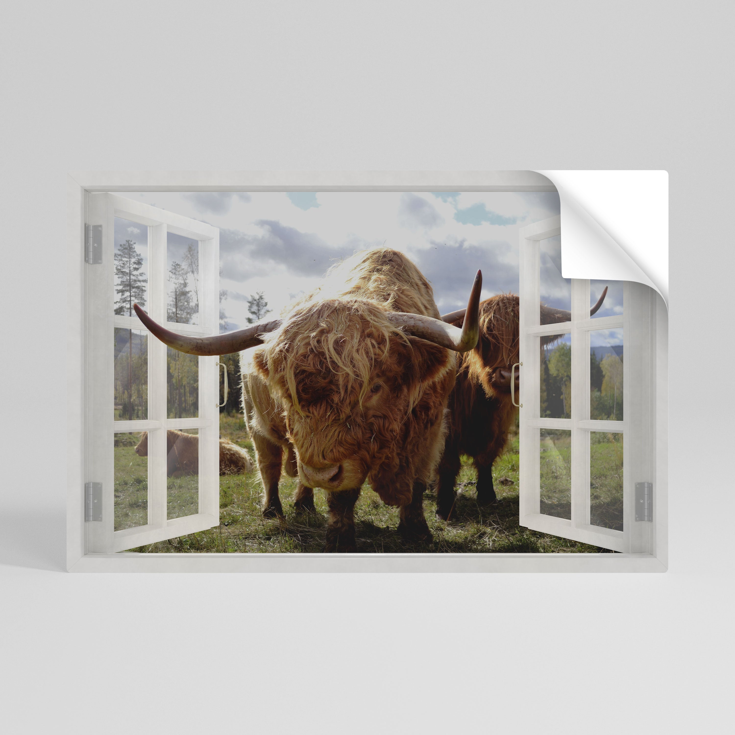BOVINE WINDOW VISTA Naklejka/Plakat poziomy