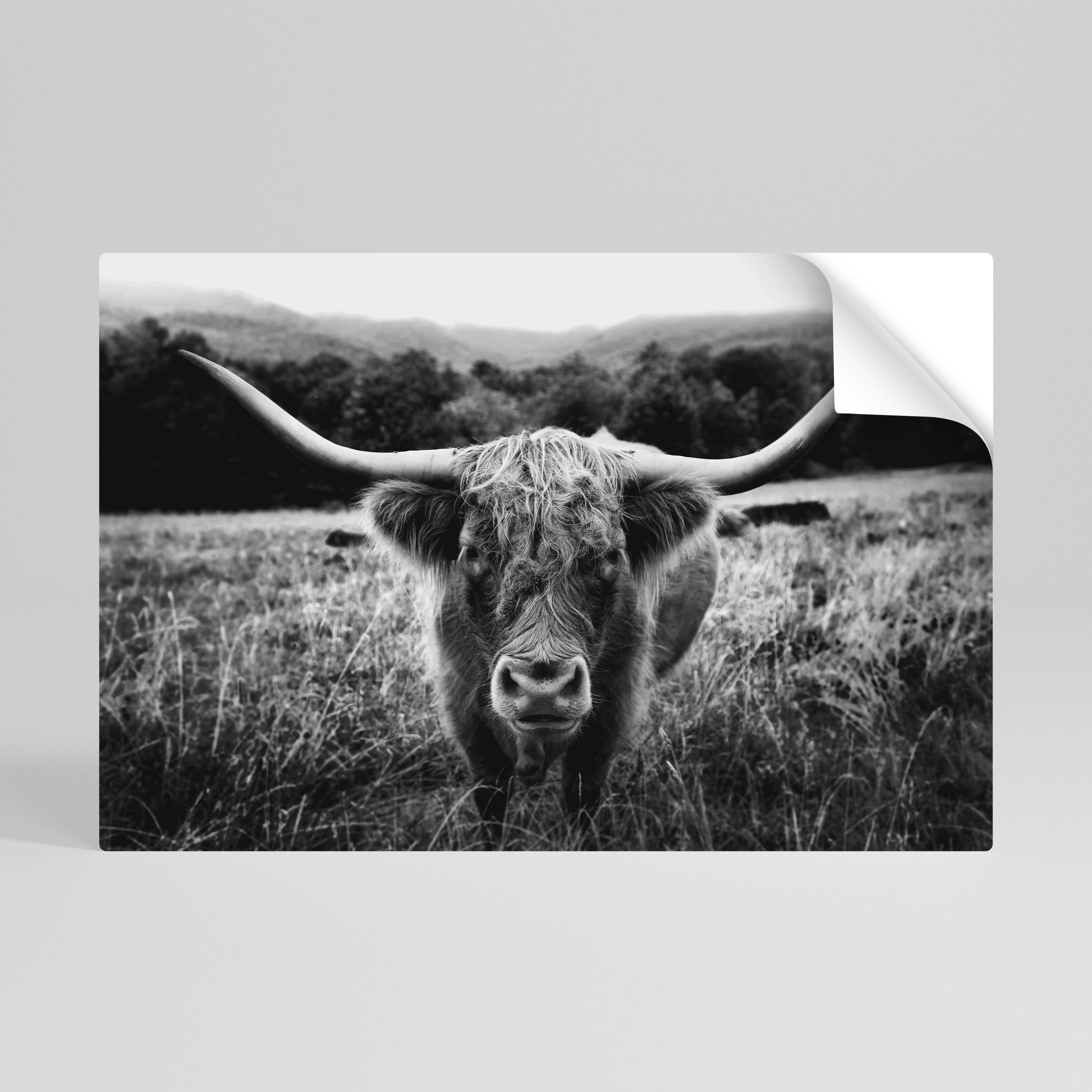HORNED HERO IN FOCUS Naklejka/Plakat poziomy