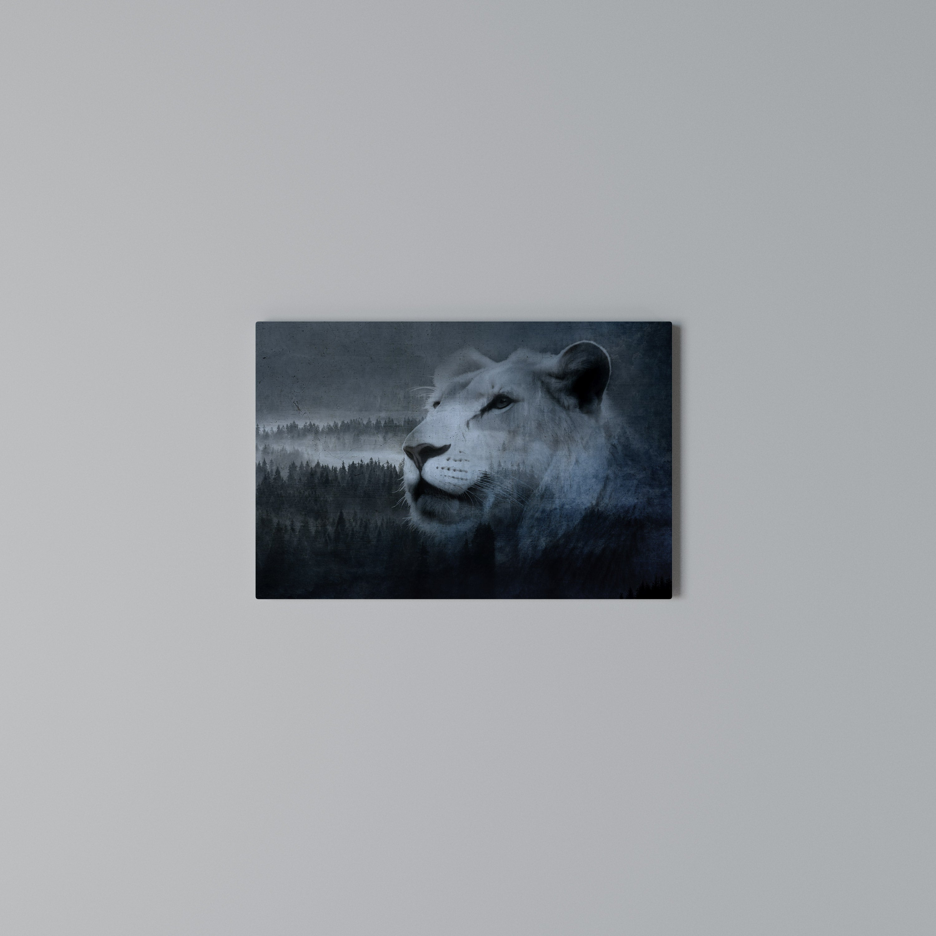 LION'S HARMONY IN BLUE Poziomy obraz na płótnie