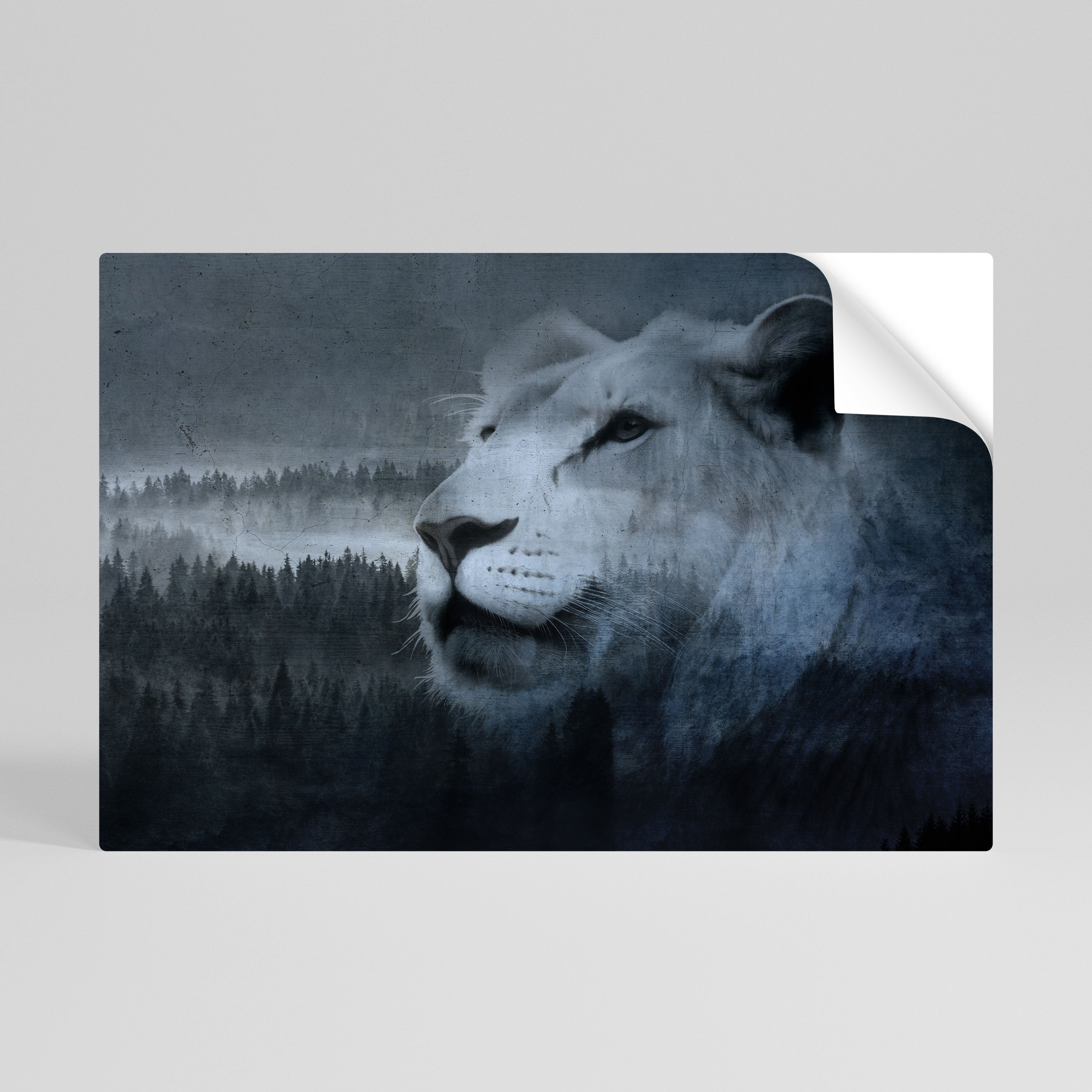 LION'S HARMONY IN BLUE Naklejka/Plakat poziomy
