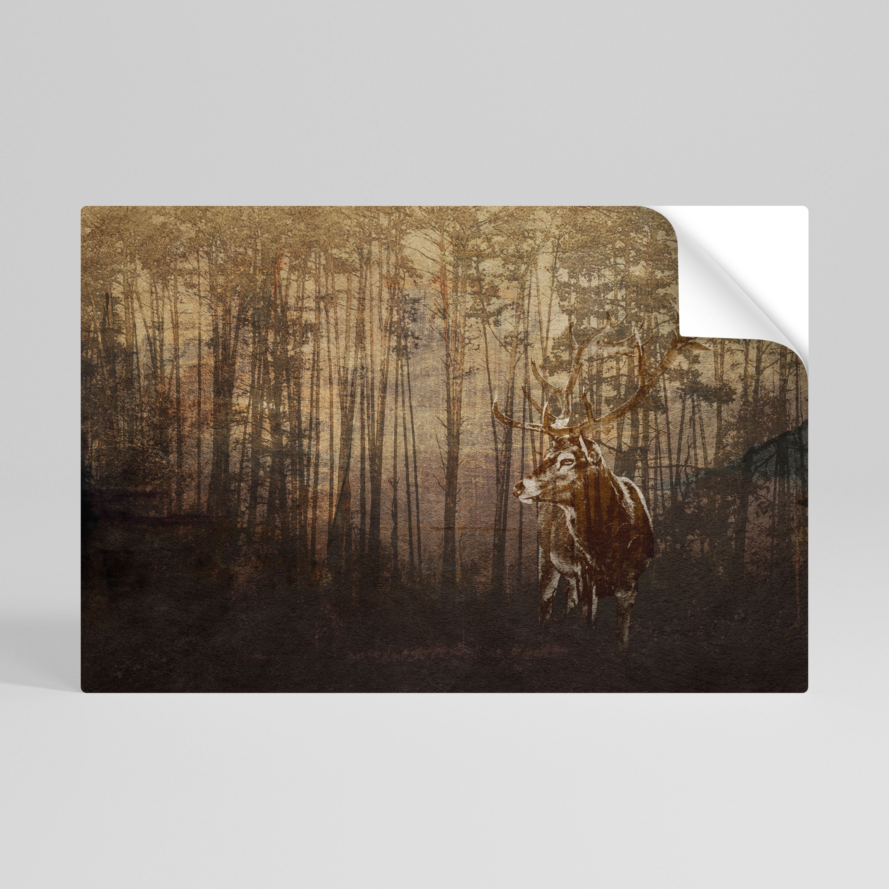 WHISPERING WOODS MYSTIQUE Naklejka/Plakat poziomy