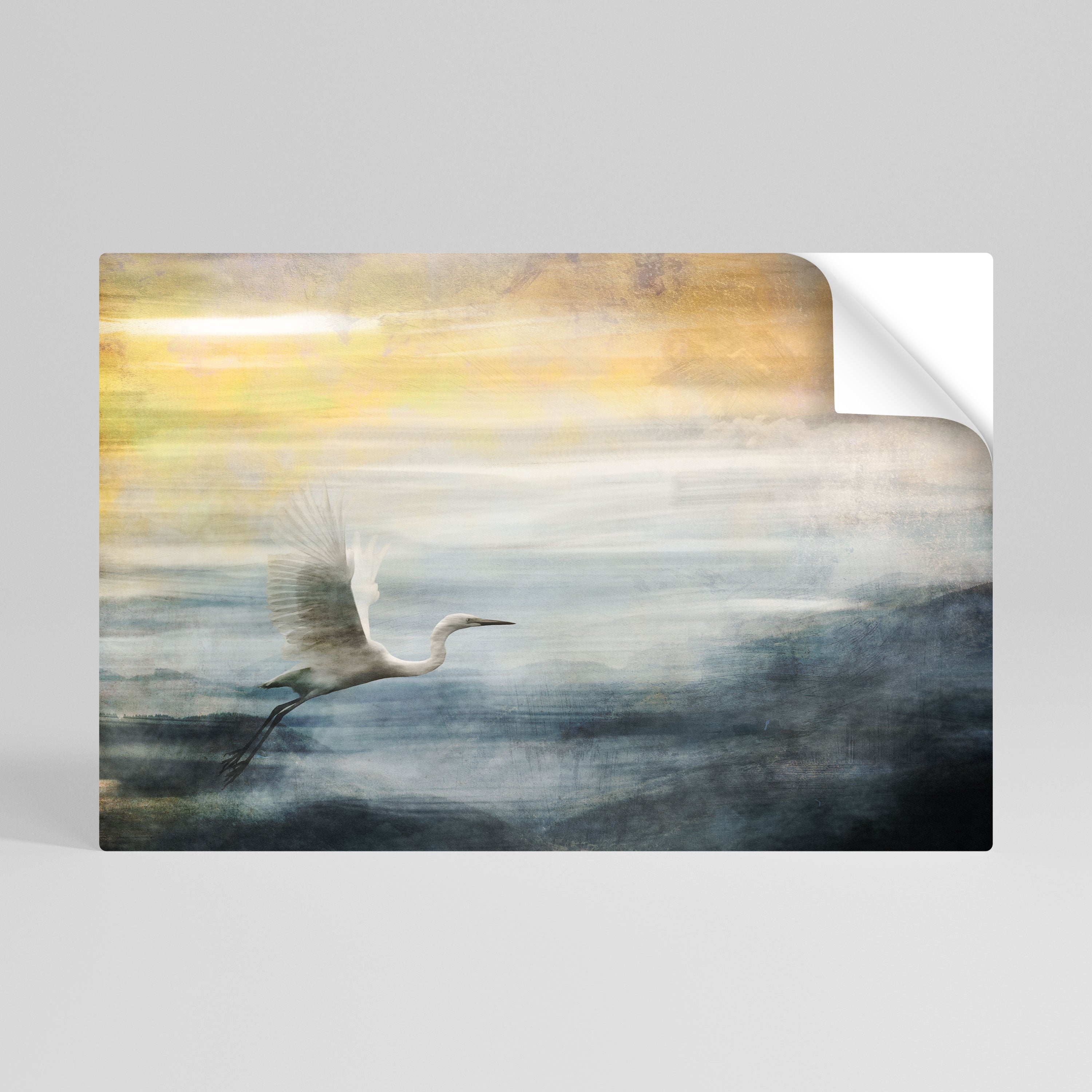 HERON IN FLY Naklejka/Plakat poziomy