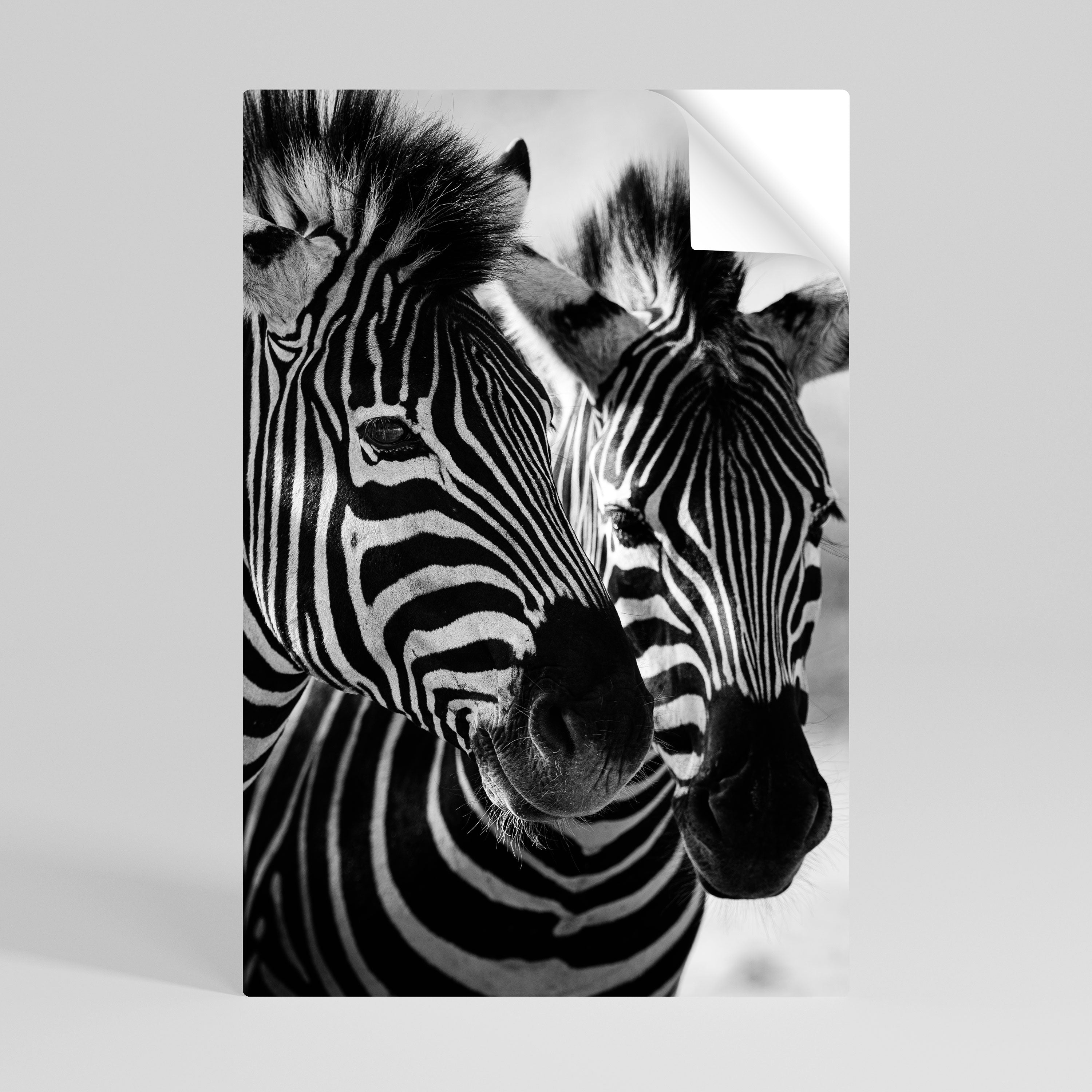 STRIPED SYMPHONY Naklejka/Plakat pionowy